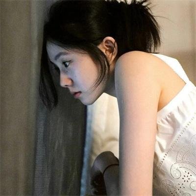 小熊历险记
